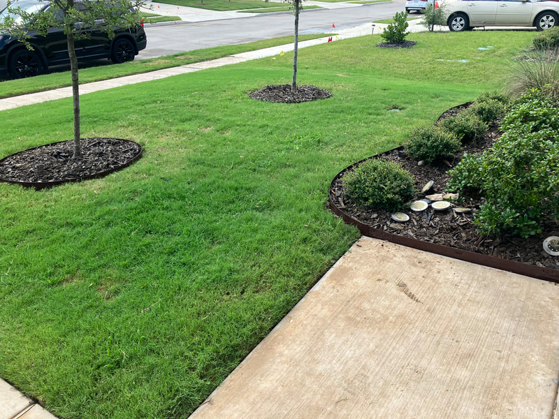 Another angle of some recently installed edging around the trees and garden beds. 
