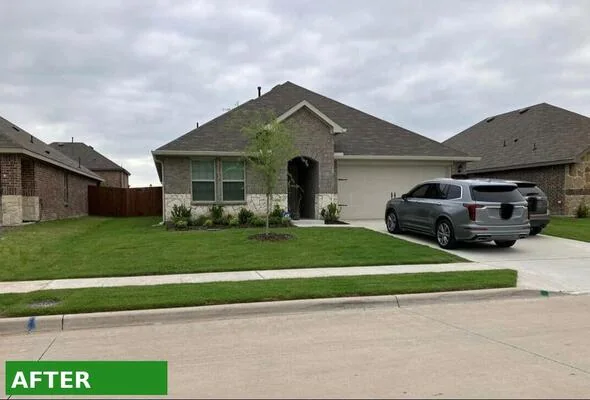 A new-build front lawn, fully sodded and green, in Rockwall.