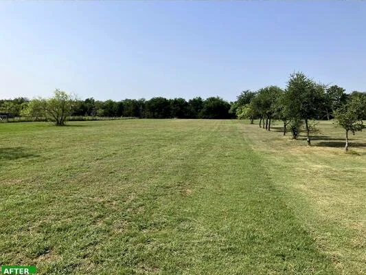 A wide open Rockwall lawn after a fresh mow.