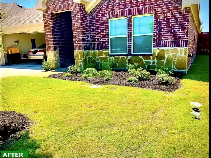 Landscaped corner bed after cleanup, mulch and edging