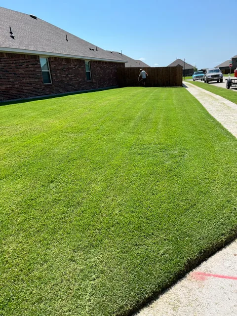 Ground-level view of a thick, freshly mowed backyard lawn along a fence line, crew member finishing up in the background