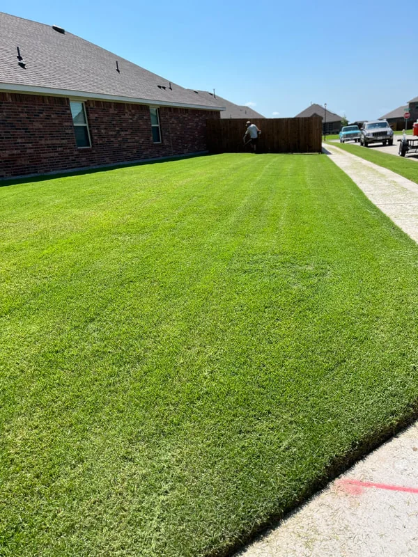 A thick, freshly mowed lawn along a fence line in Greenville