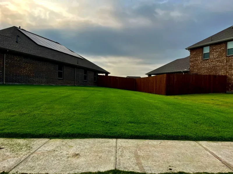 Lush, deep-green front lawn after a Mahalic and Sons service visit in Caddo Mills, TX