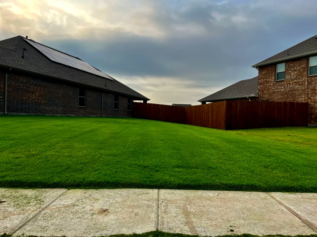 A lush, healthy front lawn, typical of the yards we maintain
