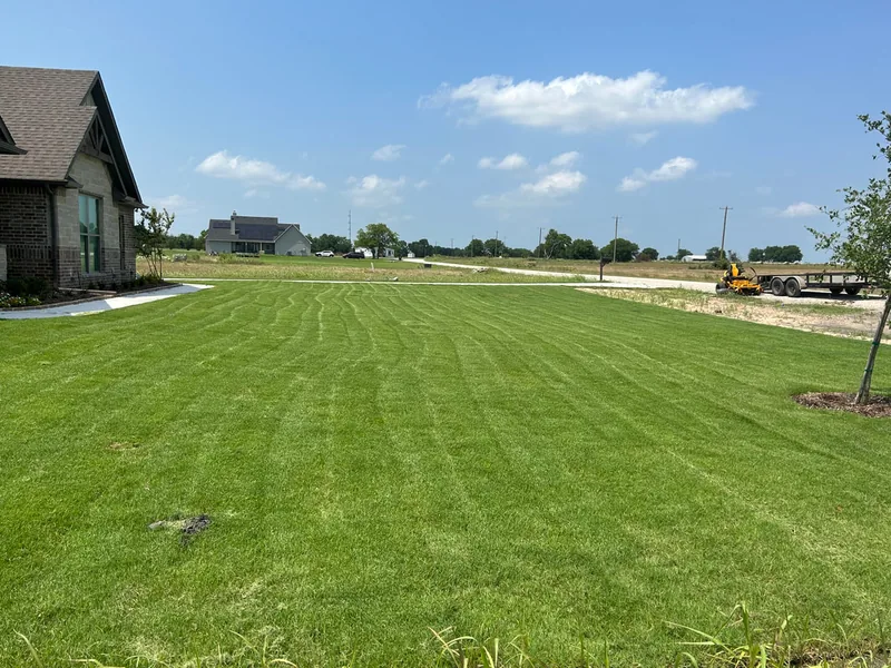 Crisp mow stripes on an open lot near Caddo Mills.