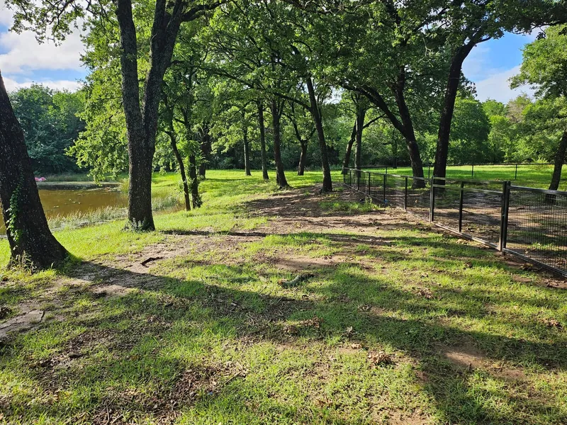 A freshly mowed wooded lot in a McLendon-Chisholm subdivision