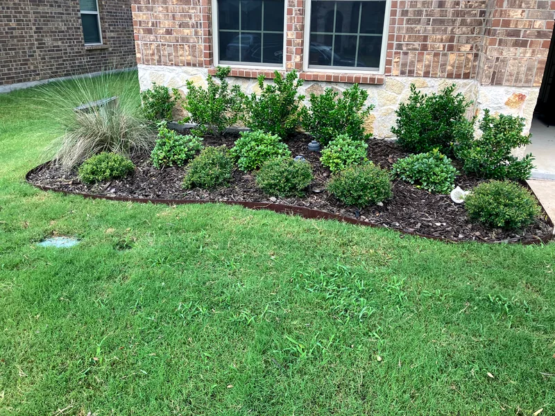 A freshly mulched bed with a stone pathway in Josephine.