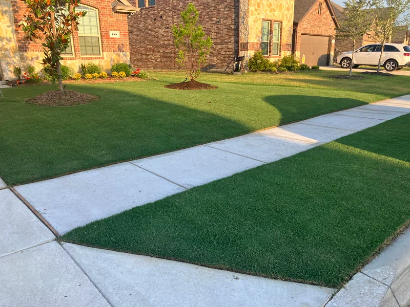 A crisp, weed-free lawn edge on a Josephine property