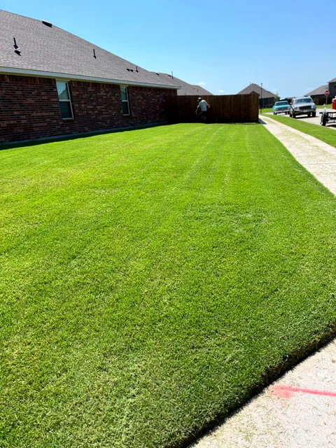 An open field of warm-season turf on a Nevada acreage property.
