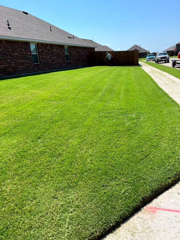 A large, deep-green open lawn on a Nevada acreage property