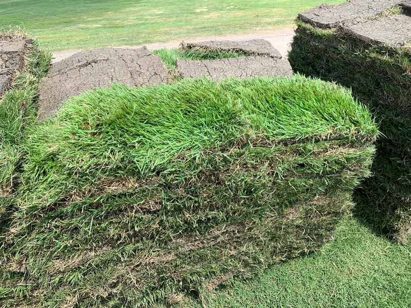 What Your Soil pH Is Telling You