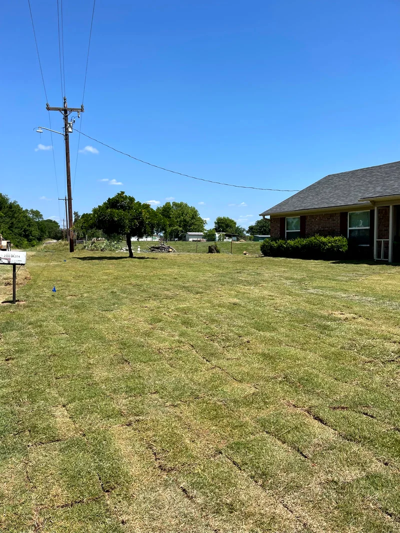 A wide street view of healthy, weed-free lawns in Fate