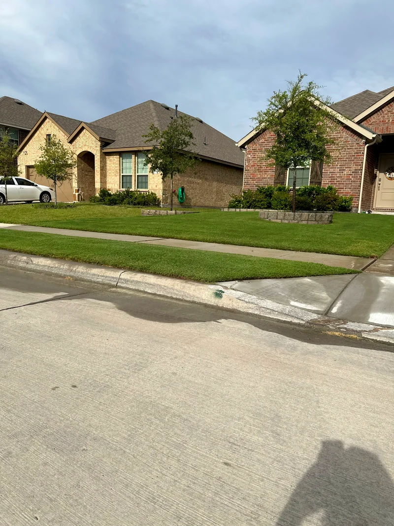 A freshly mowed front lawn in a North Texas neighborhood