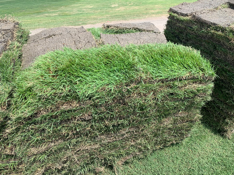 Another beautiful pallet of bermudagrass sod for installation by the best lawn care team near me